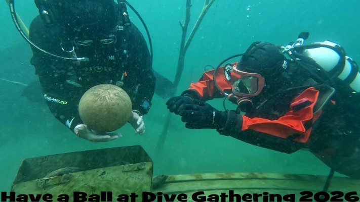 Dive Gathering Picture
